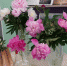 1.DSC00070 395a3 - Библиотеки Саянска
